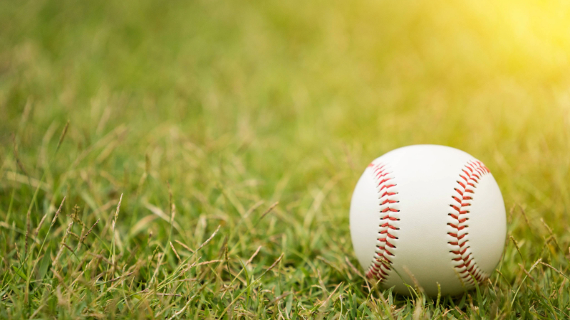Baseball sitting in a grass field.